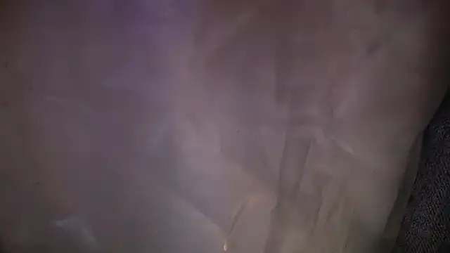 KungFuPanda001 webcam