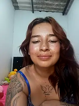 Marcelincam webcam