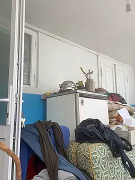 Frosl webcam