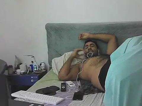 IronSideBear webcam