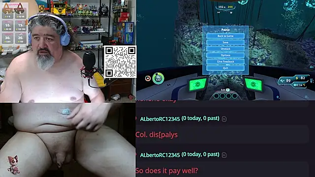 geekycastillo webcam