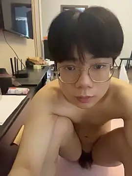 MMM-520 webcam