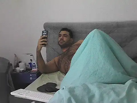 IronSideBear webcam