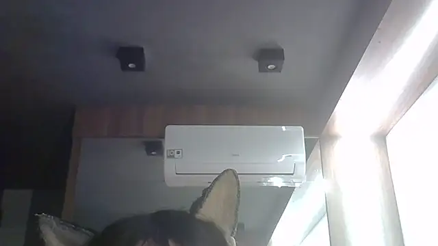 SkinnyKitten webcam