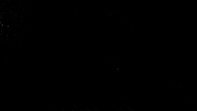 BedazedFirefly webcam