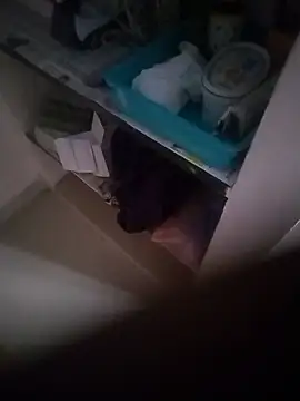 Chennaifunlove96 webcam