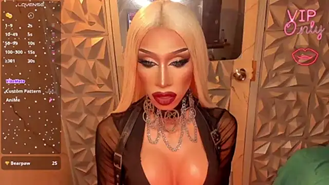anitacruise webcam