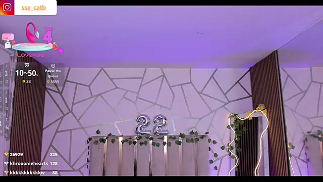 casse_tay webcam