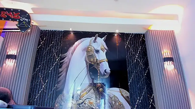 the_knights_of_the_night_ webcam