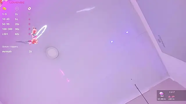 dulcepatersson1_ webcam