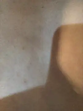 3littles webcam
