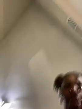 LillShayy webcam