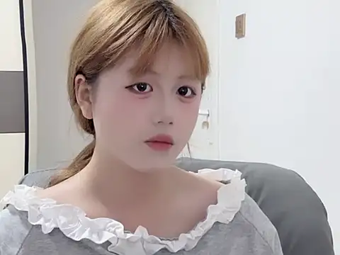 TYS-711 webcam