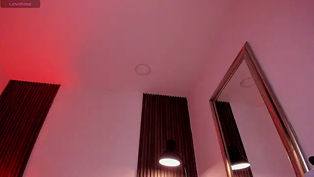 MAGIC_VERA webcam