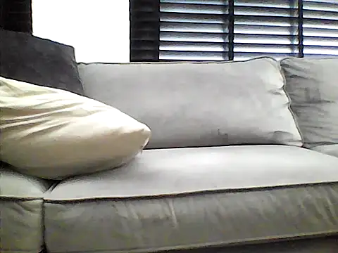 perlados webcam