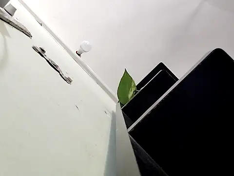 yamini1431 webcam