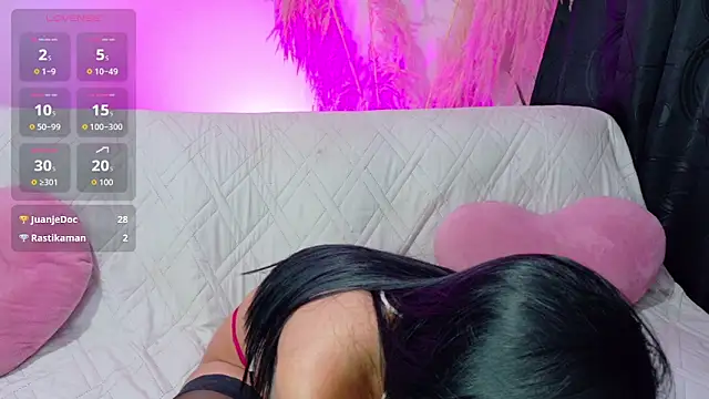 Leydystone_ webcam