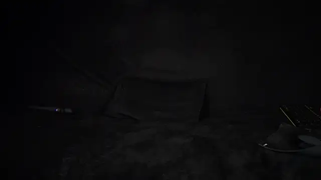 STOP-PANIC webcam