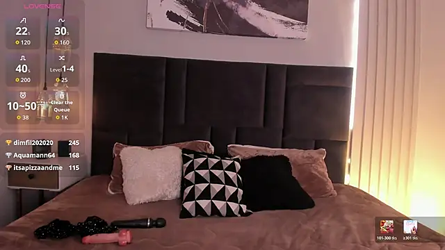 evazul webcam