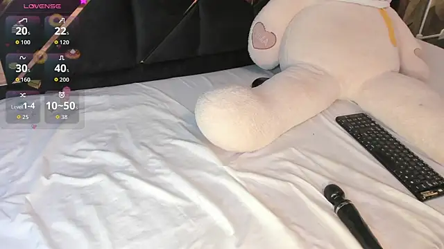 KaelSoft_ webcam