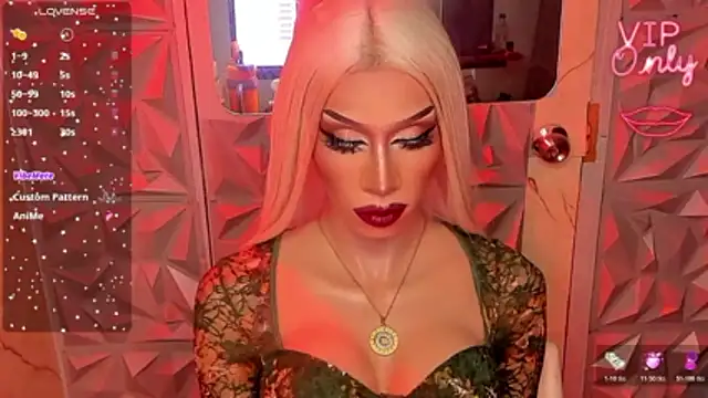 anitacruise webcam