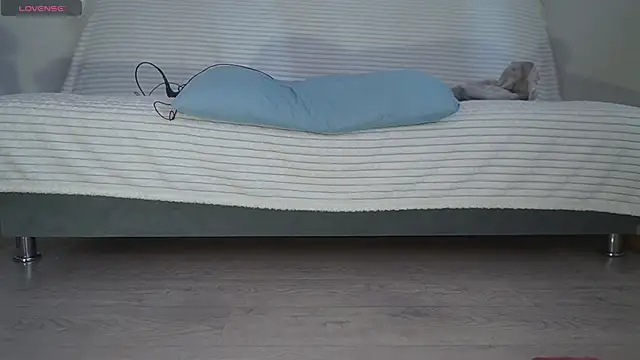 Fecvht45 webcam