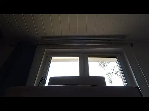 Rainfish webcam