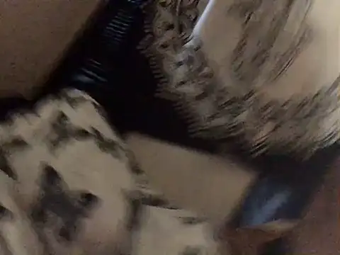 Sexy_ebony_BunNey webcam