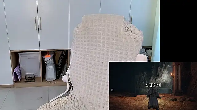 Erya-369 webcam