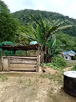 kalara_kail webcam