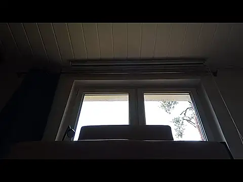 Rainfish webcam