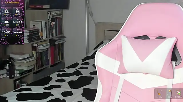 bbJ_one webcam