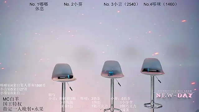 NEW-DAY webcam