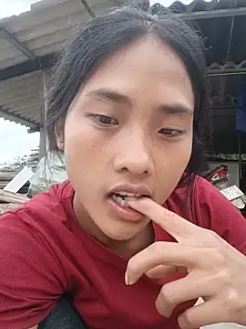 Hoa-tuylip webcam