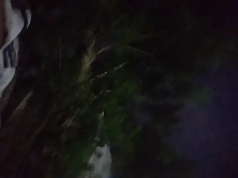 master_juju1924 webcam