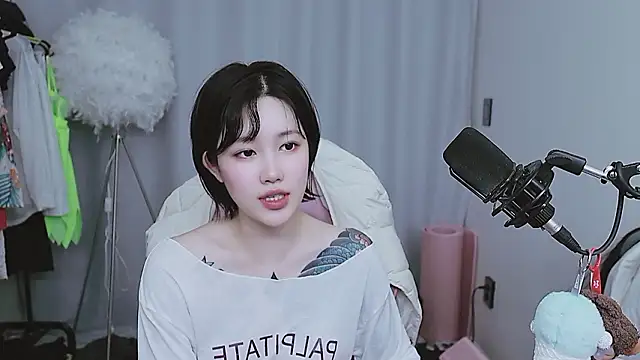 MISA_02 webcam