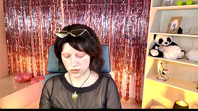 LidaDarknet webcam