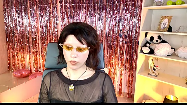 LidaDarknet webcam