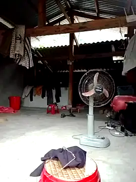 donna-bae webcam