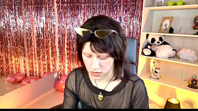 LidaDarknet webcam