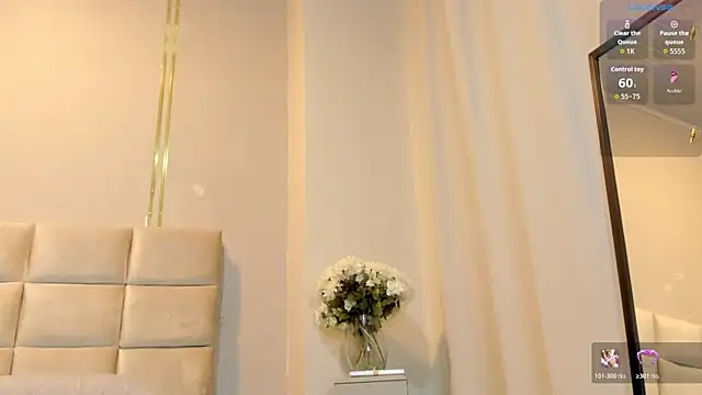 Heicy_ webcam