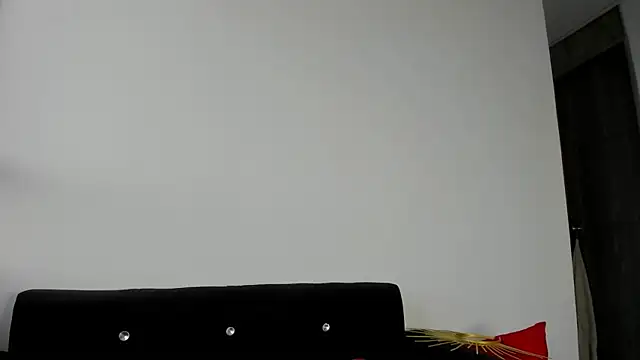Onion_knight webcam