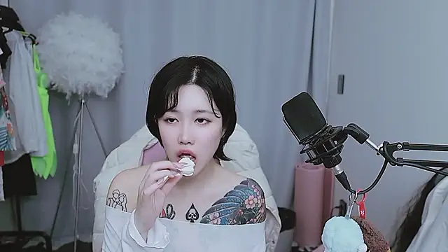 MISA_02 webcam