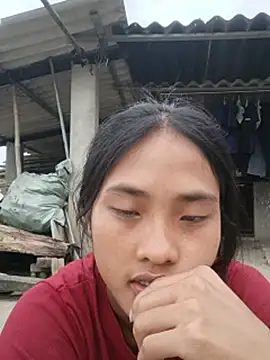 Hoa-tuylip