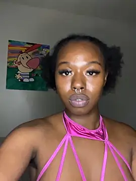TinyBlazian901 webcam