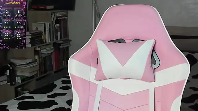 bbJ_one webcam
