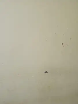 sexy_shital (Ask my age) - #ahegao #anal #anal-indian #anal-petite #anal-toys #black-hair #cam2cam #cheapest-privates #cheapest-privates-indian #indian #long-hair #mobile #most-affordable-cam2cam #petite #petite-indian #romantic #romantic-indian