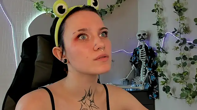 Elastikisss webcam
