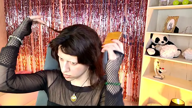 LidaDarknet webcam