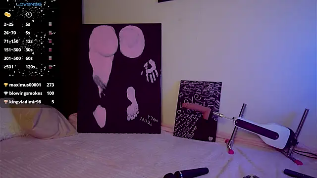 mary_lunar webcam